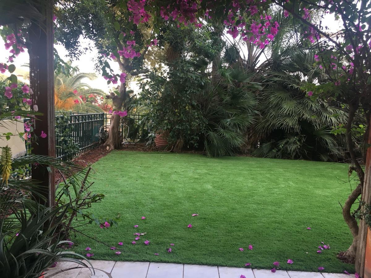 الشقق الفندقية Rechovotفي  Pool & Garden المظهر الخارجي الصورة